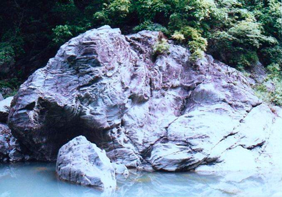 楽天市場】三波石 巨石 沓脱石 飛び石 延段 踏石 天然石 幅約